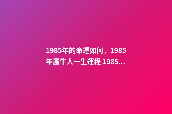 1985年的命運如何，1985年屬牛人一生運程 1985年屬牛人一生運勢1985年出生的屬牛人一生的運勢如何-第1張-觀點-玄機派